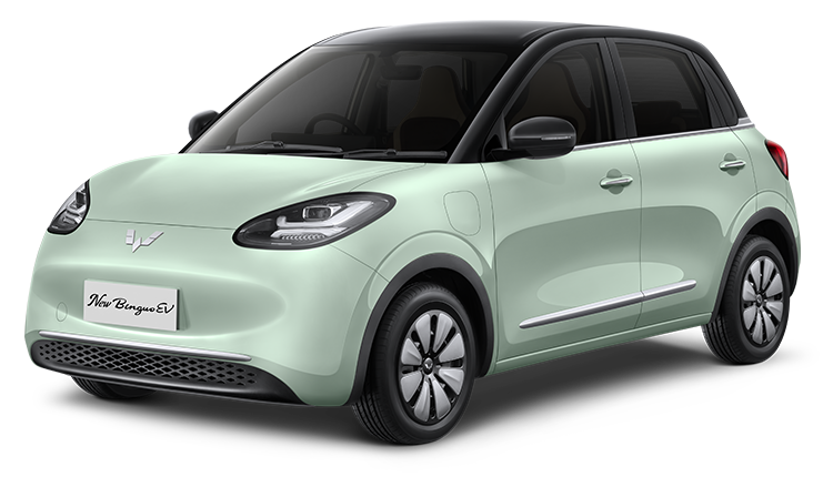 Buku Panduan Wuling Binguo EV