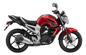 BYSON FZ16 (2010)