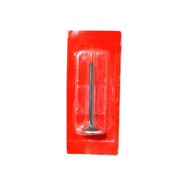 Klep In, Valve Inlet Honda Honda CS1